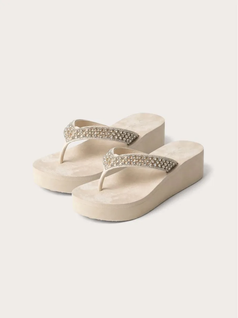 ჩუსტები SIFD192002