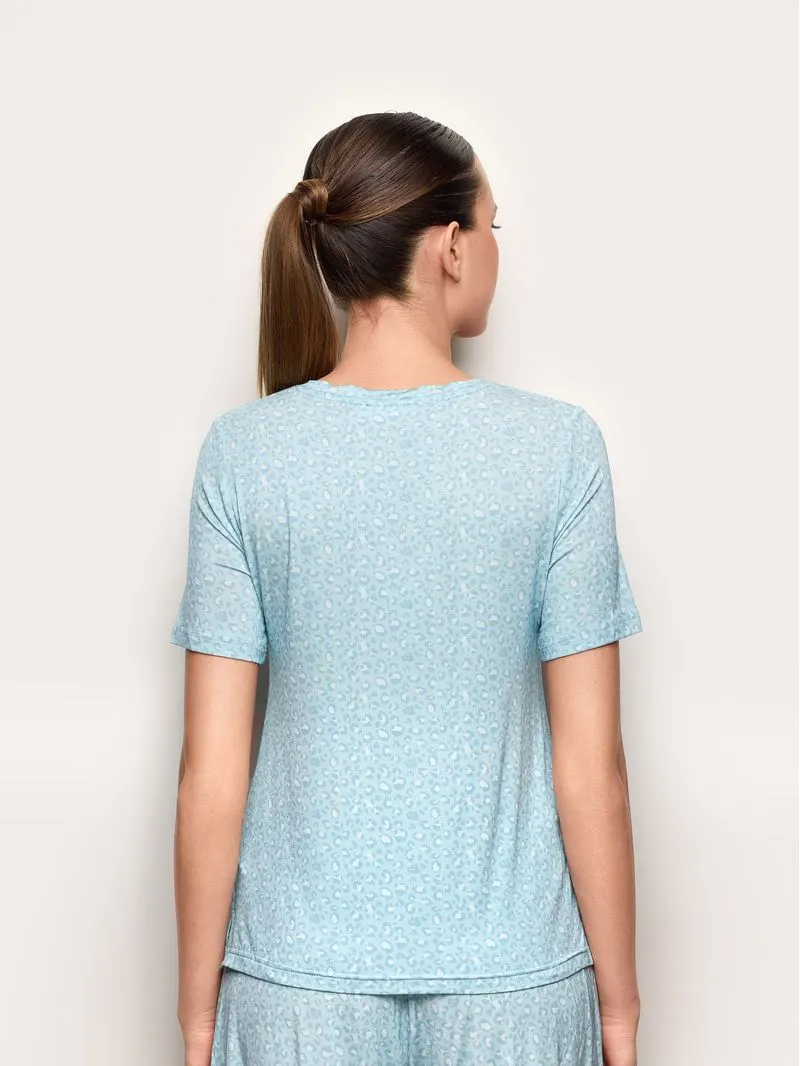 ზედა PPTD191003